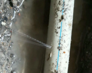 杨陵卫生间测漏水多少钱