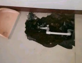 杨陵卫生间测漏水多少钱